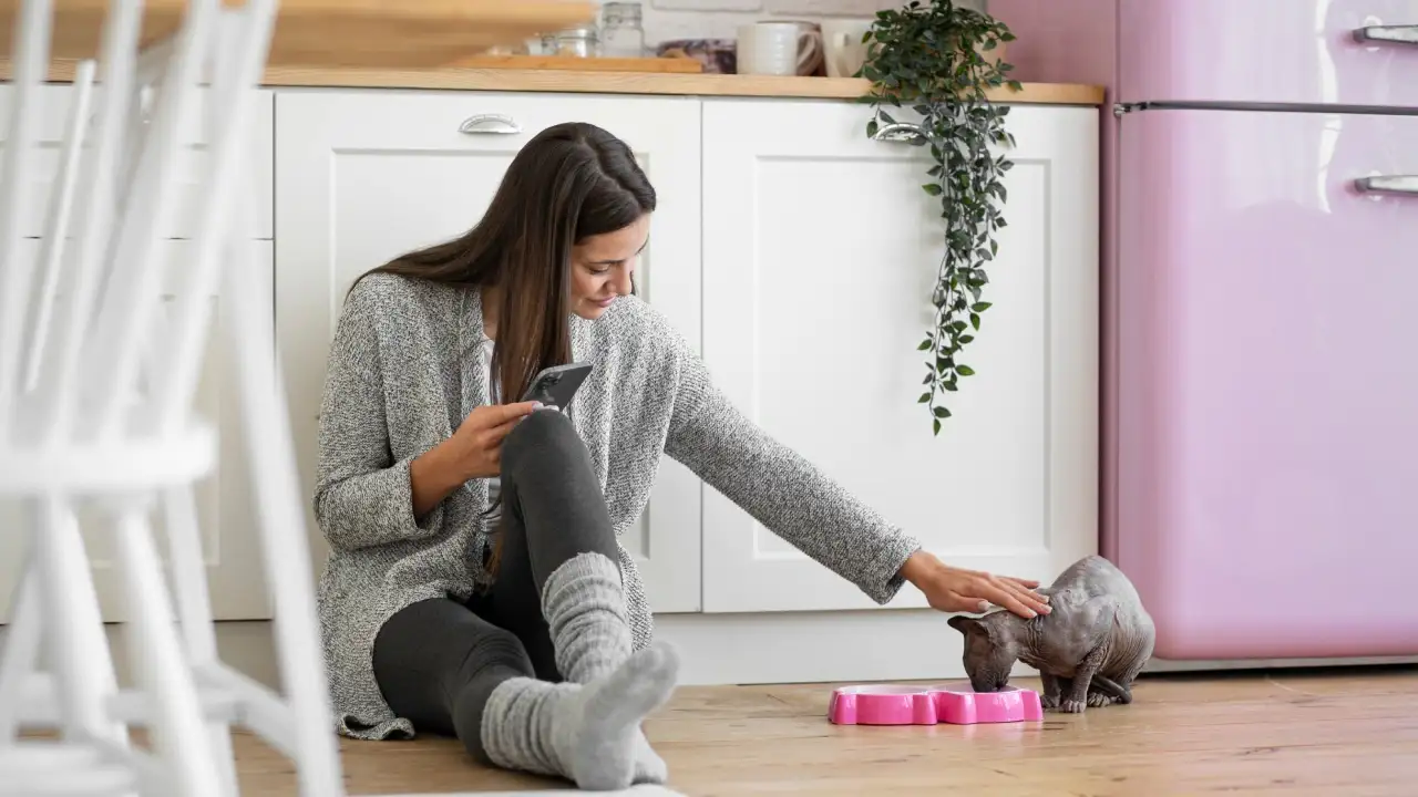 Neatly Surfaces TheHomeTrotters